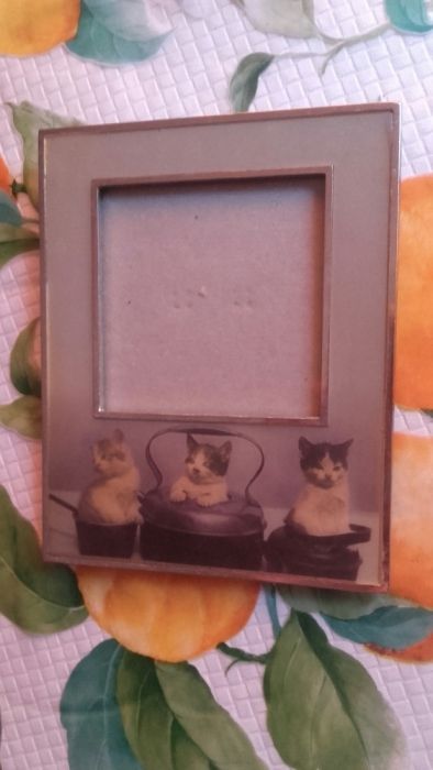 Ramka dla fotografii Twojego pupila