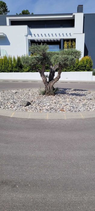 T3 no condomínio Santa Maria em Leiria