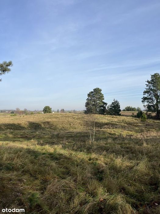 Targowo działka na sprzedaż na Mazurach blisko jeziora.