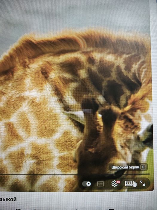 Nvidia rtx 1060 3 gb