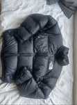 Kurtka the north face nuptse męska