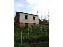 Moradia com terreno a confinar com a Ribeira . A 3 km da praia Fluv...