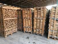 продам дрова твердих порід