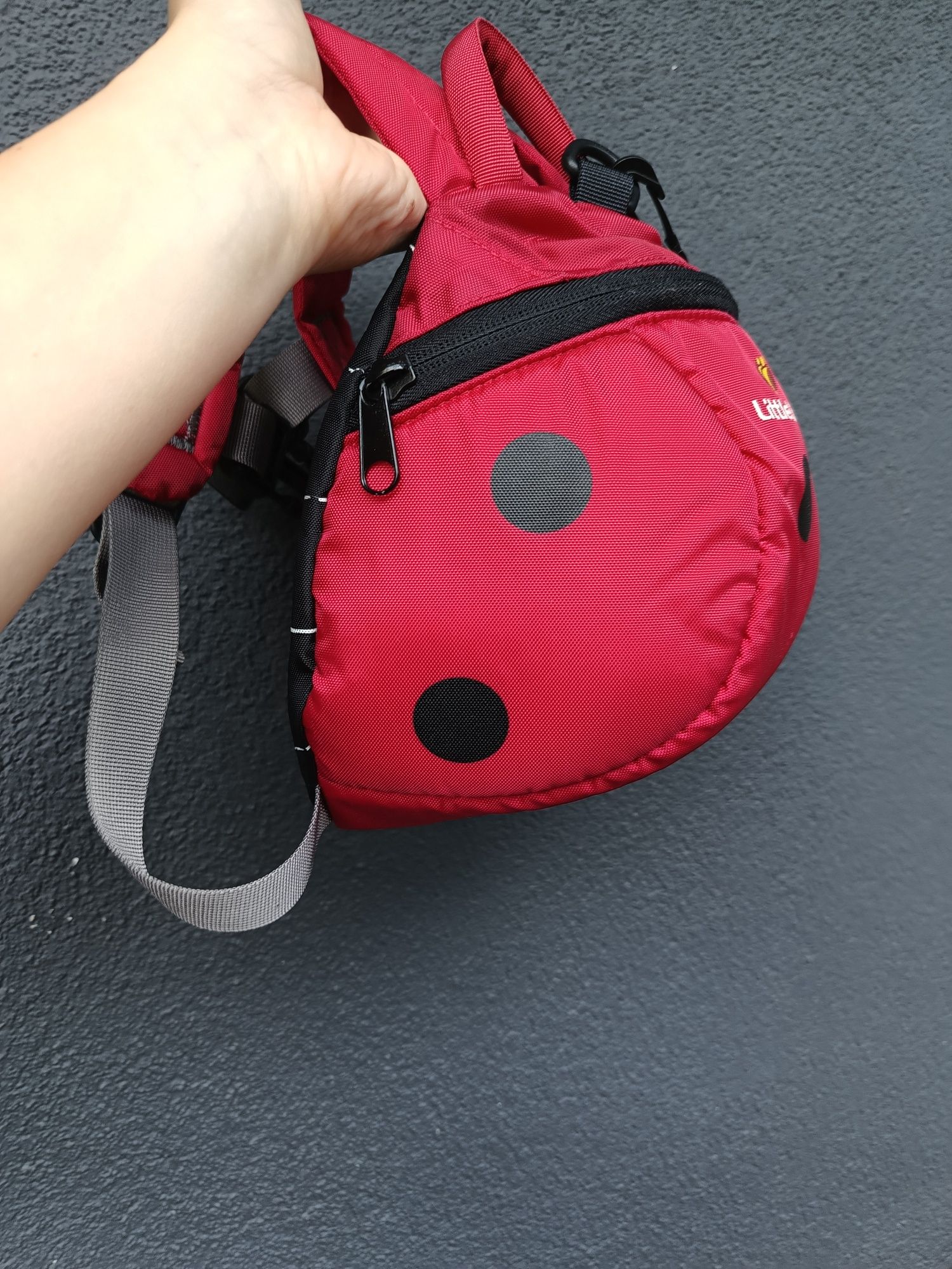 Uroczy plecak biedroneczka LittleLife