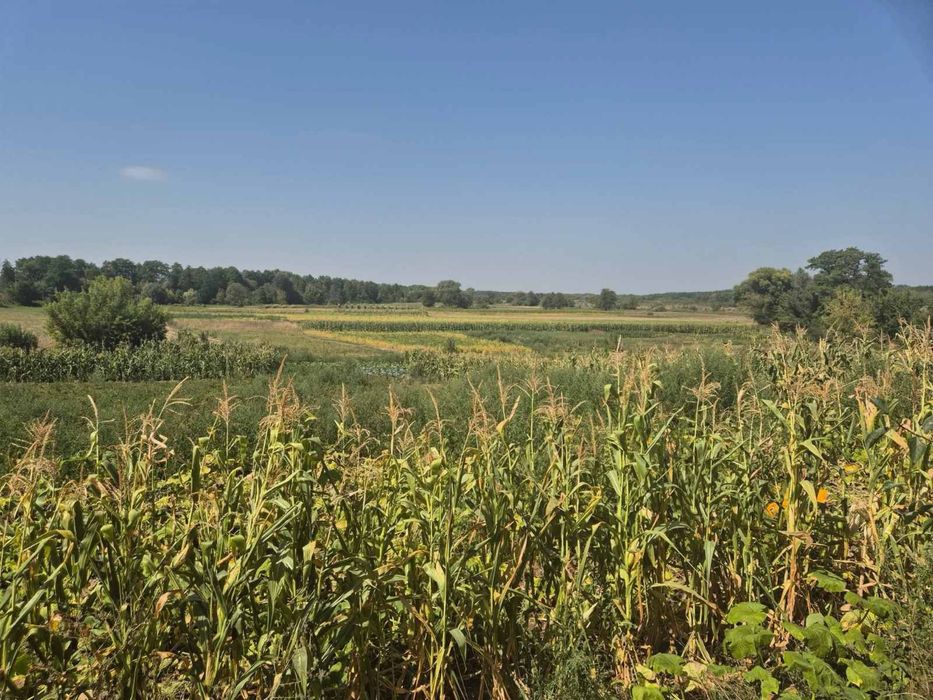 Продаж будинку с.Острів.Білоцерківський район