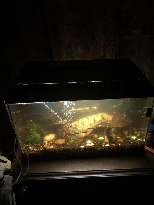 Aquario 70l c/acessorios