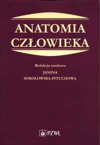 Anatomia Człowieka Pituchowej Książka NOWA NaMedycyne