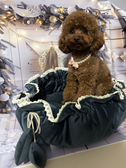 Legowisko dla psa hand made