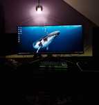 Monitor MSI MAG401QR 40 cali 155Hz + DARMOWA WYSYŁKA