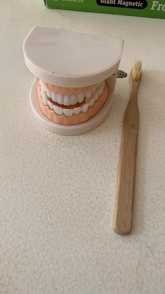 Zabawka Drewniana Montessori Wczesna Edukacja Mycie Zębów