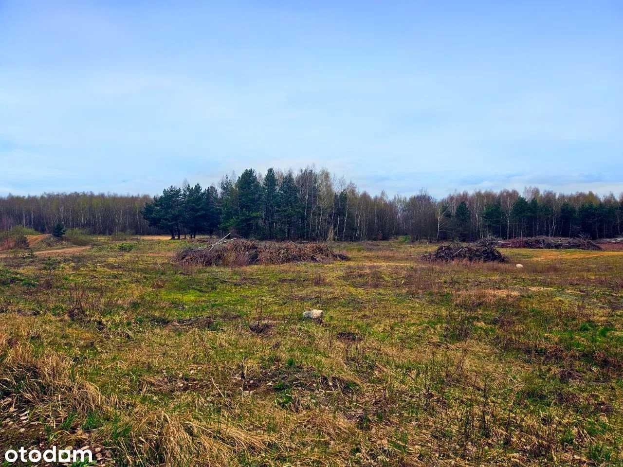 Działka Szteklin - 15ha, idealne pod inwestycje, złoża