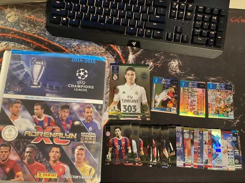 Album + 31 Unikatowych Kart PANINI 2014 - 2015