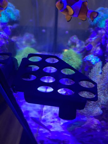 Narożna Półka magnetyczna na korale akwarium morskie