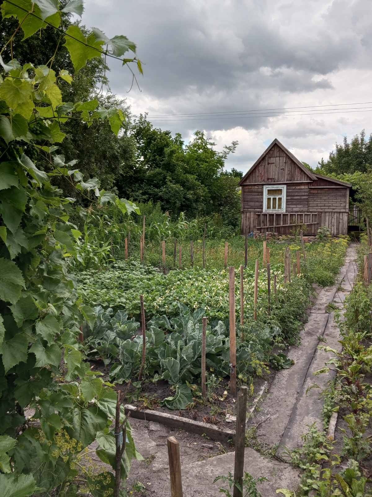 Продам дачу в районі буга