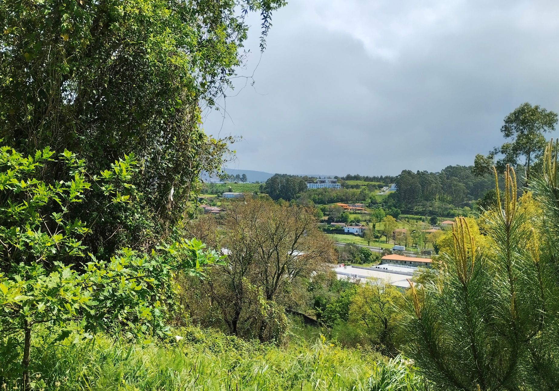 Permuto terreno com 5 hectares em Sequeira (Braga)