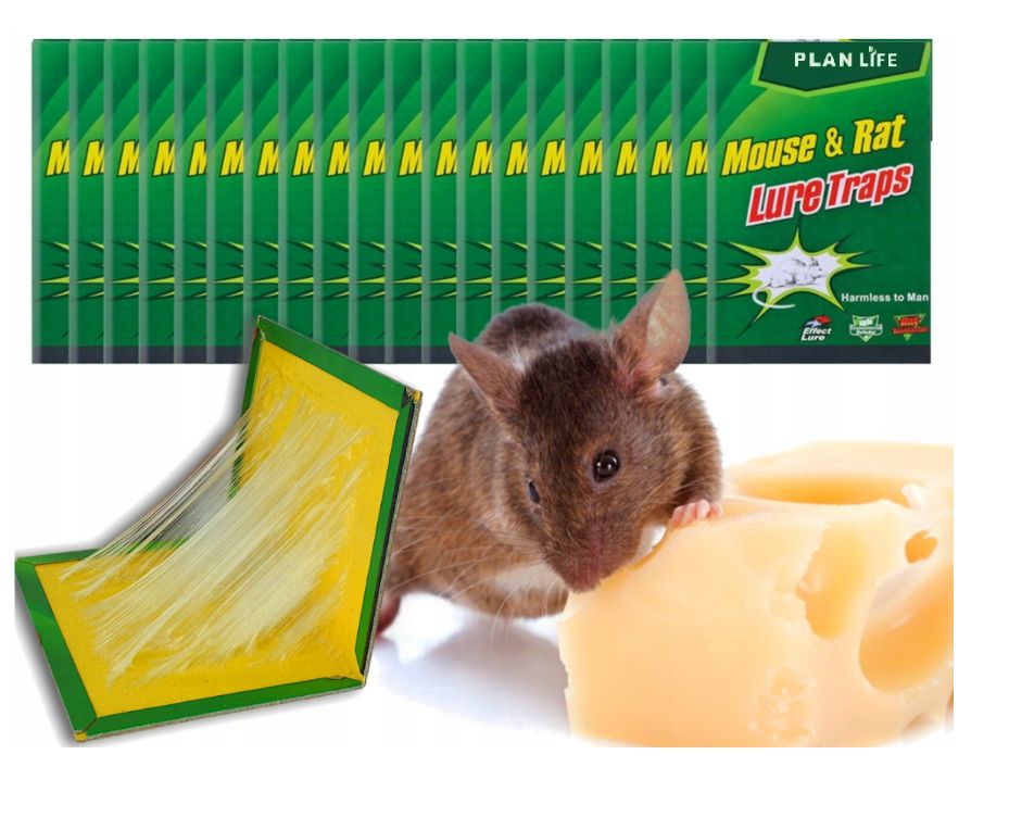 20x PUŁAPKA NA MYSZY SZCZURY myszołapka silny klej mocna łapka lep