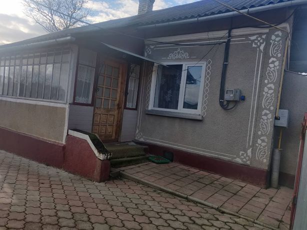 Будинок у центрі села Жизномир