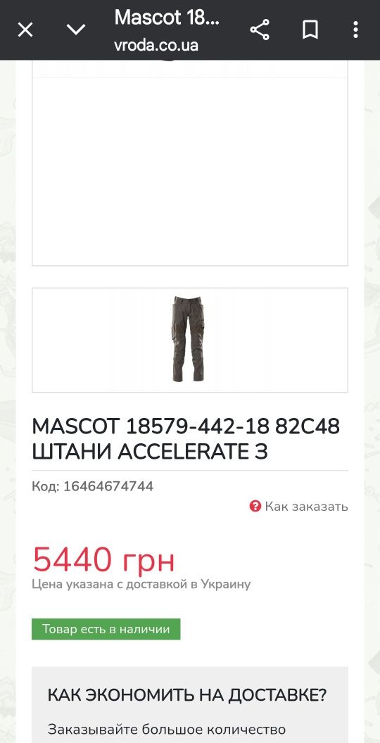 Штани Mascot Accelerate з