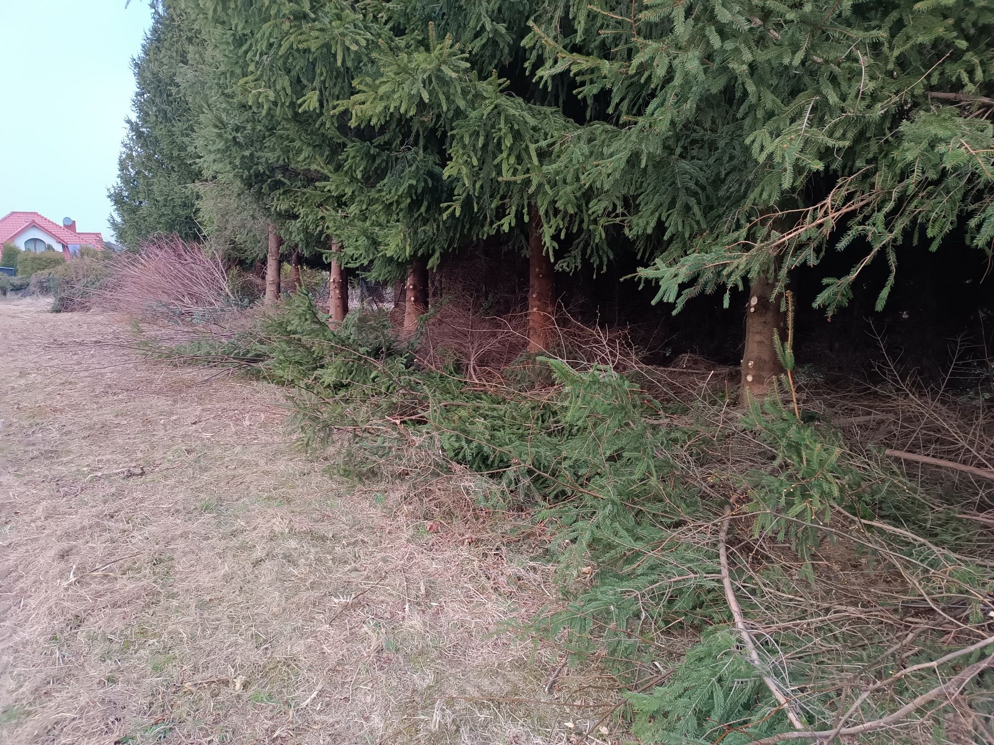 Koszenie nieużytków trawy, bijakowa kosiarka, karczowanie, wycinka,itp