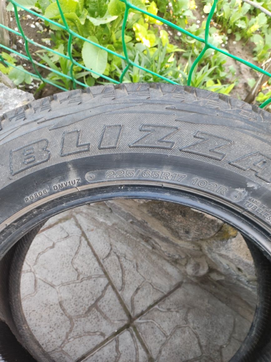 Шины Bridgestone Blizak