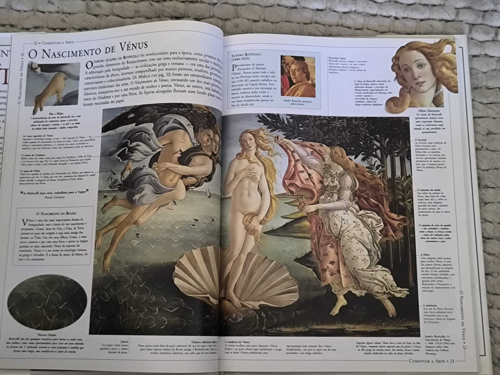 Comentar a Arte
Análise e Estudo dos Quadros mais Famosos do Mundo