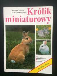 Poradnik chowu. Królik miniaturowy.