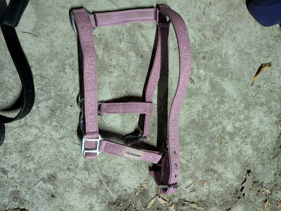 Kantar brokatowy cob