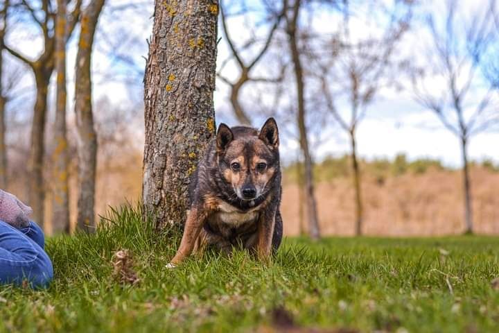 Każdego dnia czeka na cud… Czy nieśmiała Karioka doczeka się DOMU?