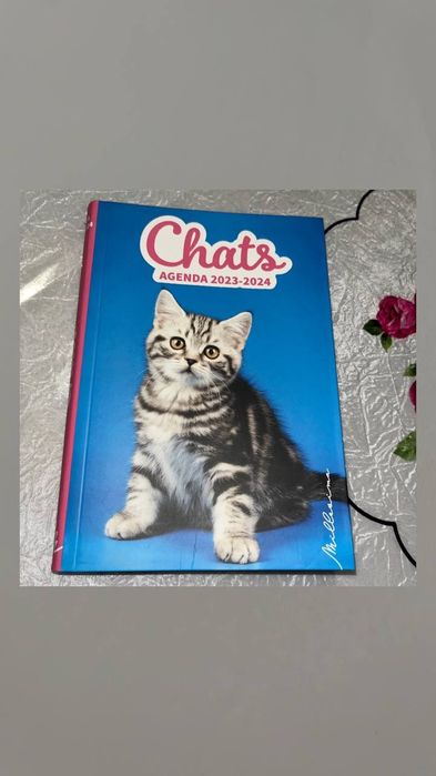 Яскраві блокноти