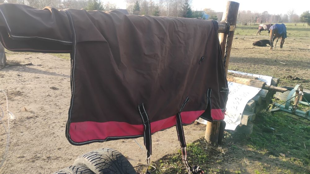 Derka padokowa na polarze 125cm