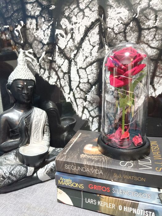 Dia dos Namorados Cúpula, redoma, rosa eterna bela e o monstro