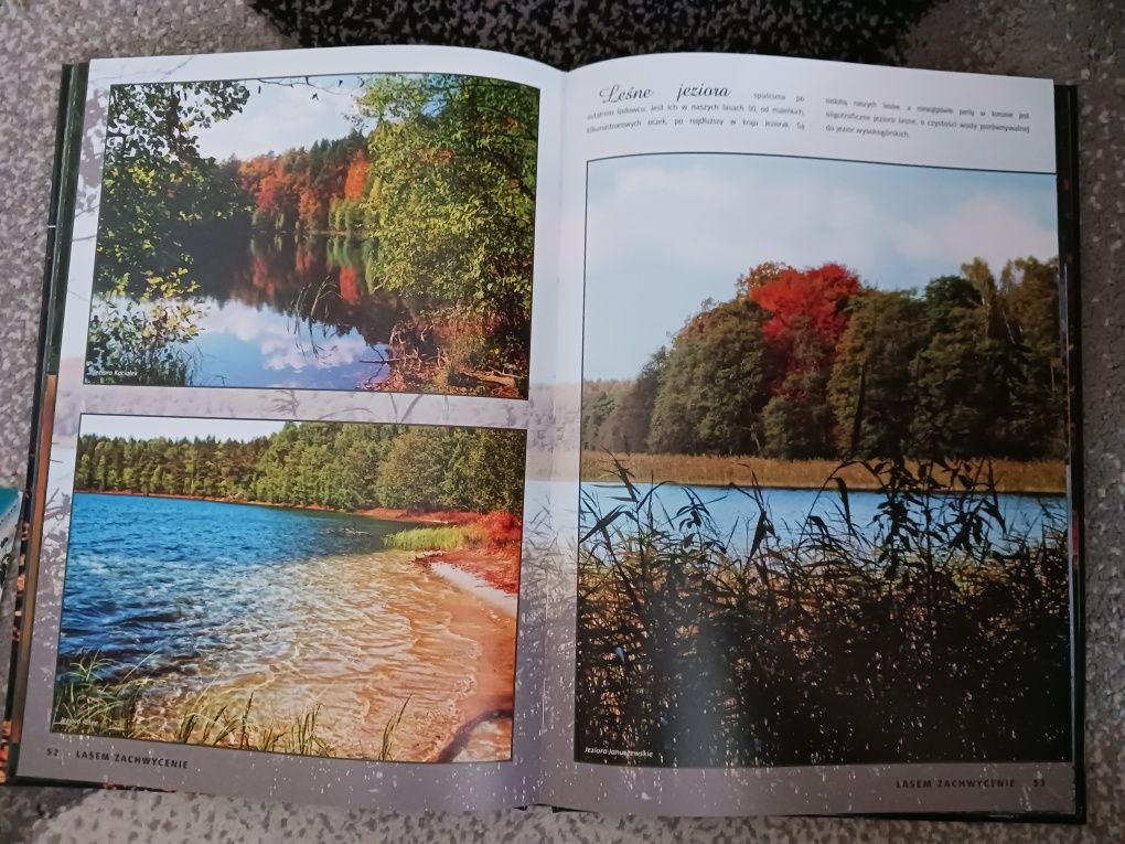 Album Lasem zachwycenie. Obiektywem i pędzlem Stanisława Blonkowskiego