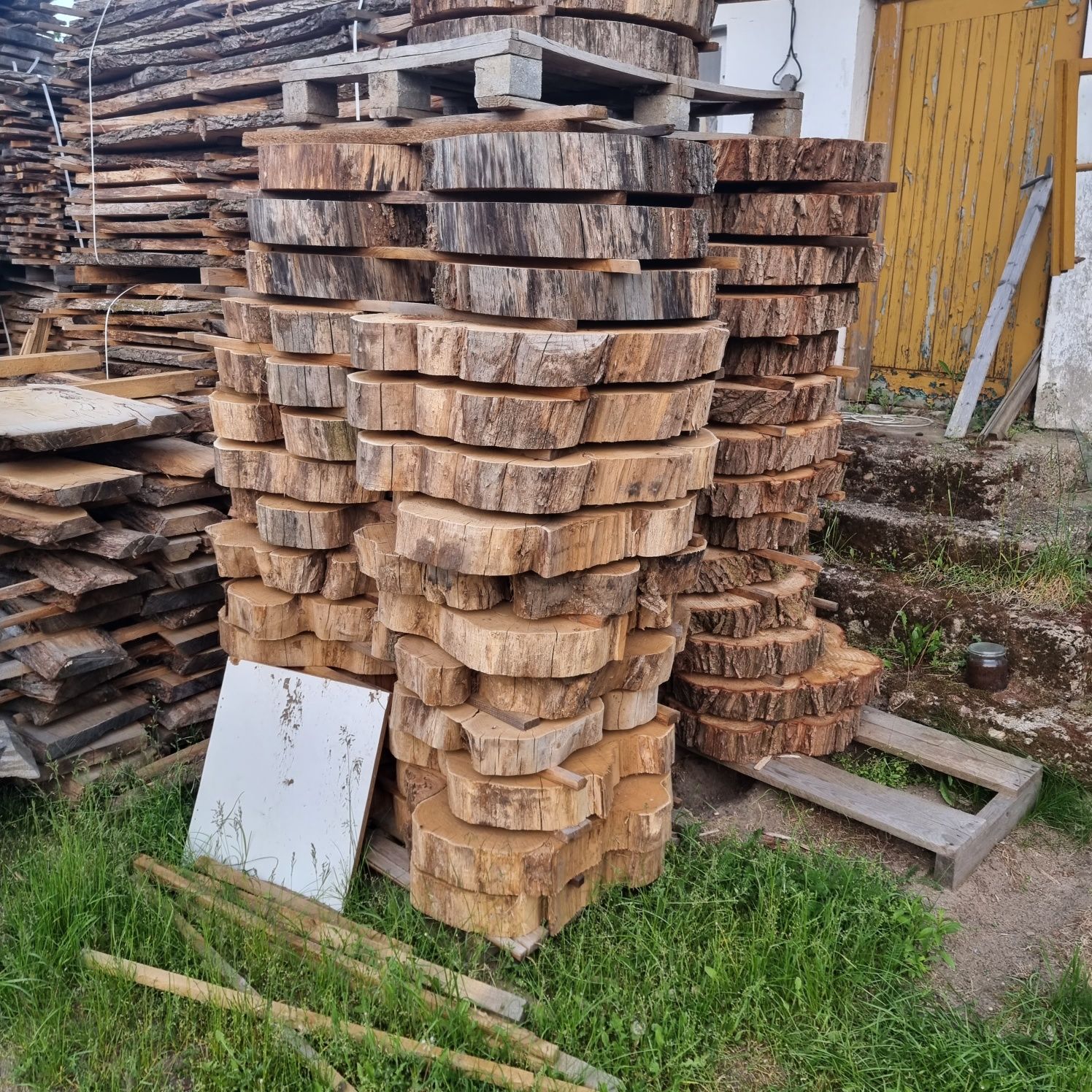 Plastry dąb jesion akacja (robinia) topola