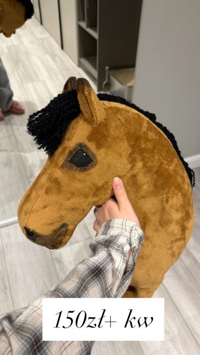 hobby horse a4 gniady