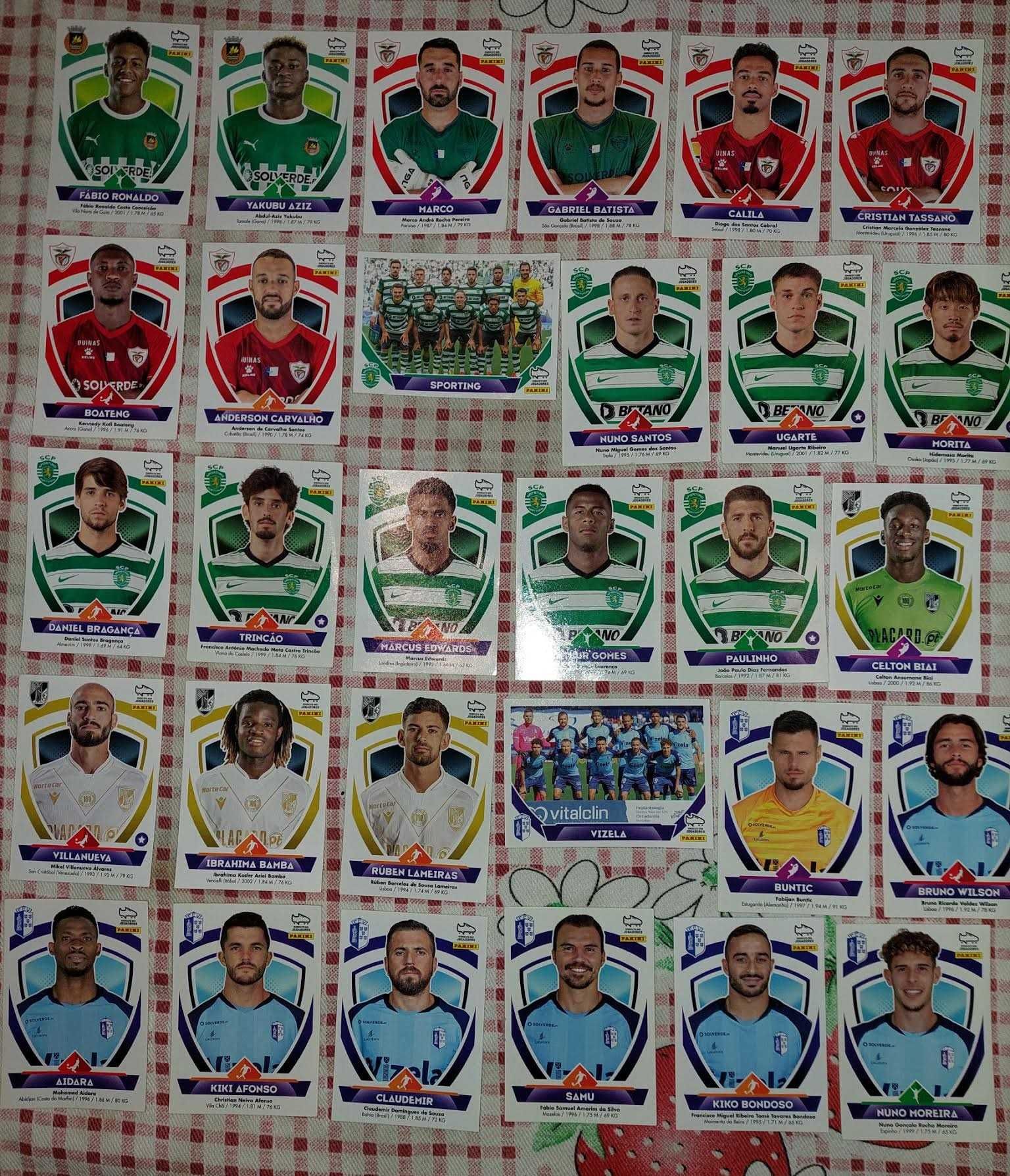 Cromos Bwin - panini
