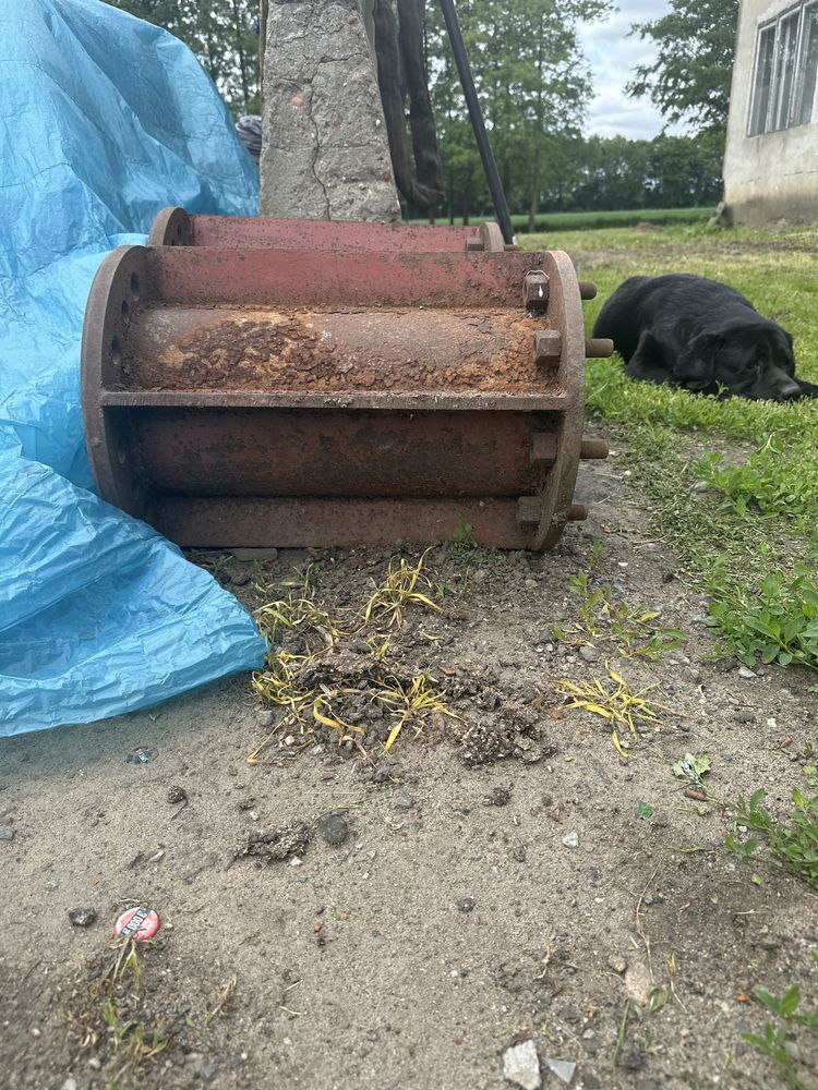 Bizon do blizniaków