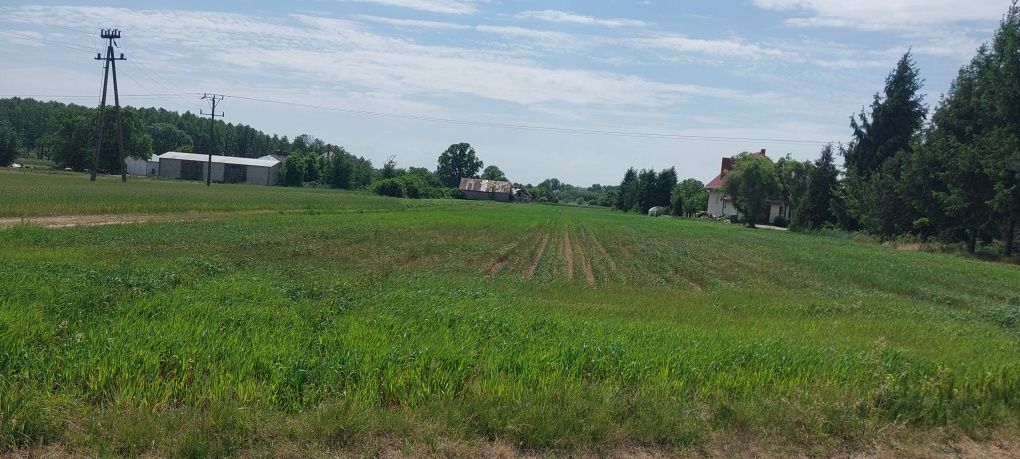 Działka budowlana Kamionka ul.Nowa