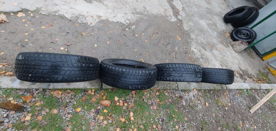 Покрышки зимние Roadstone R16 225/60