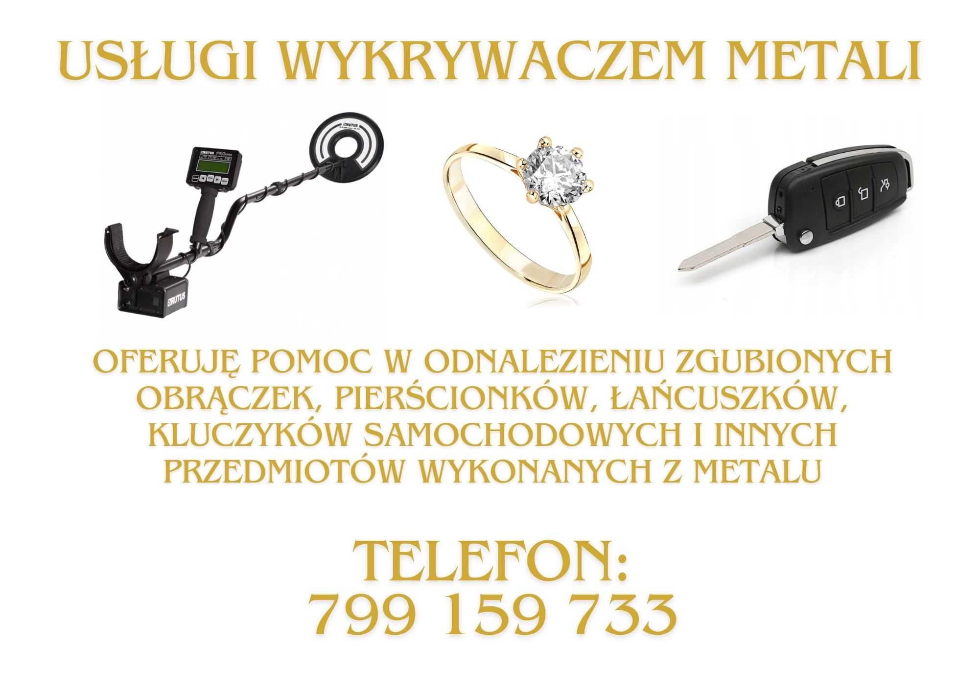 Usługi wykrywaczem metali poszukiwania zgubionych rzeczy