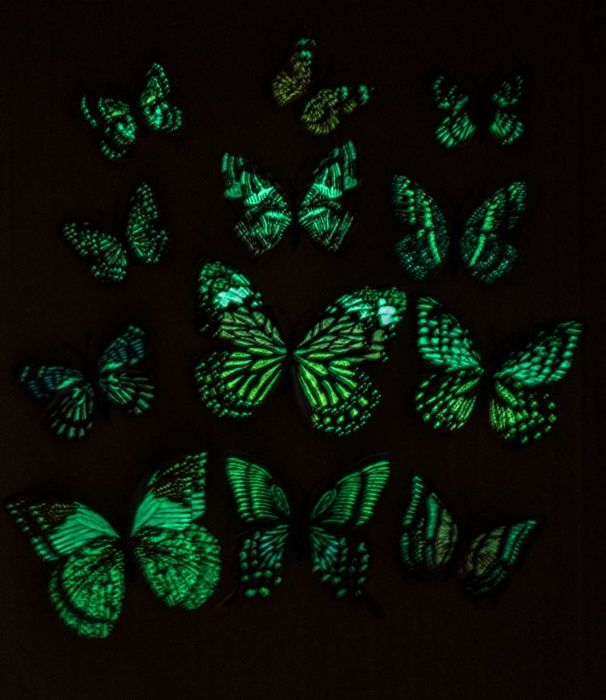 Conjunto de 12 Borboletas Coloridas Florescentes