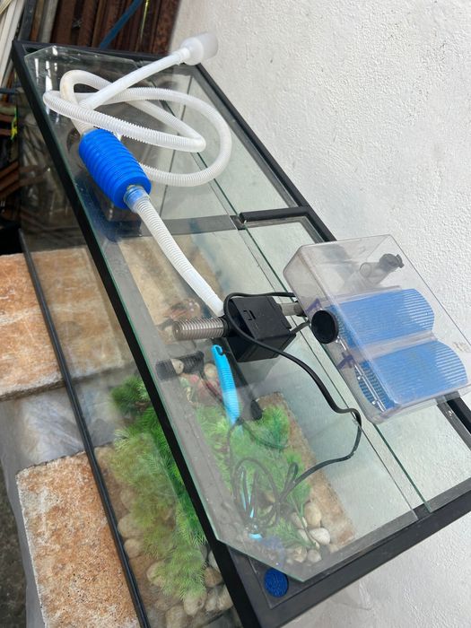 Aquário + equipamentos