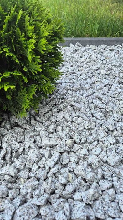 Grys Granitowy Jasny Dalmatyńczyk Kruszywa Ogród