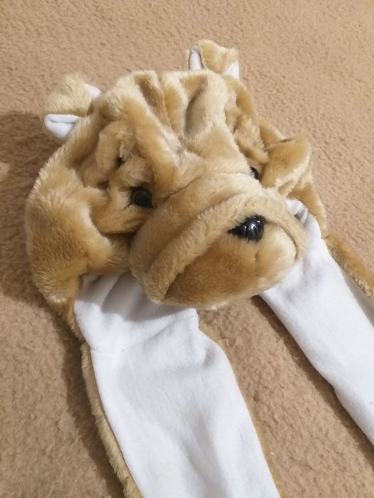 Шапочка Шарпея домашняя