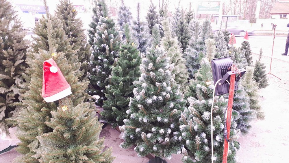 choinka sztuczna SOSNA DIAMENTOWA polski producent stoisko OKAZJA