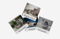KARTY TRÓJDZIELNE - Rasy kotów (20 kart) Montessori