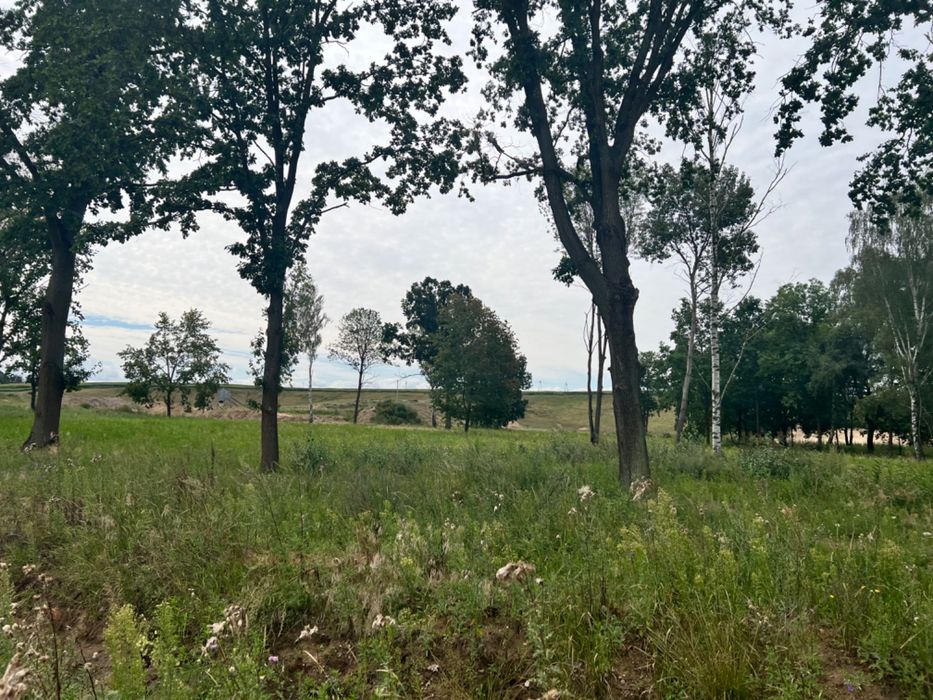 Działka budowlana w Skórzewie nad jeziorem