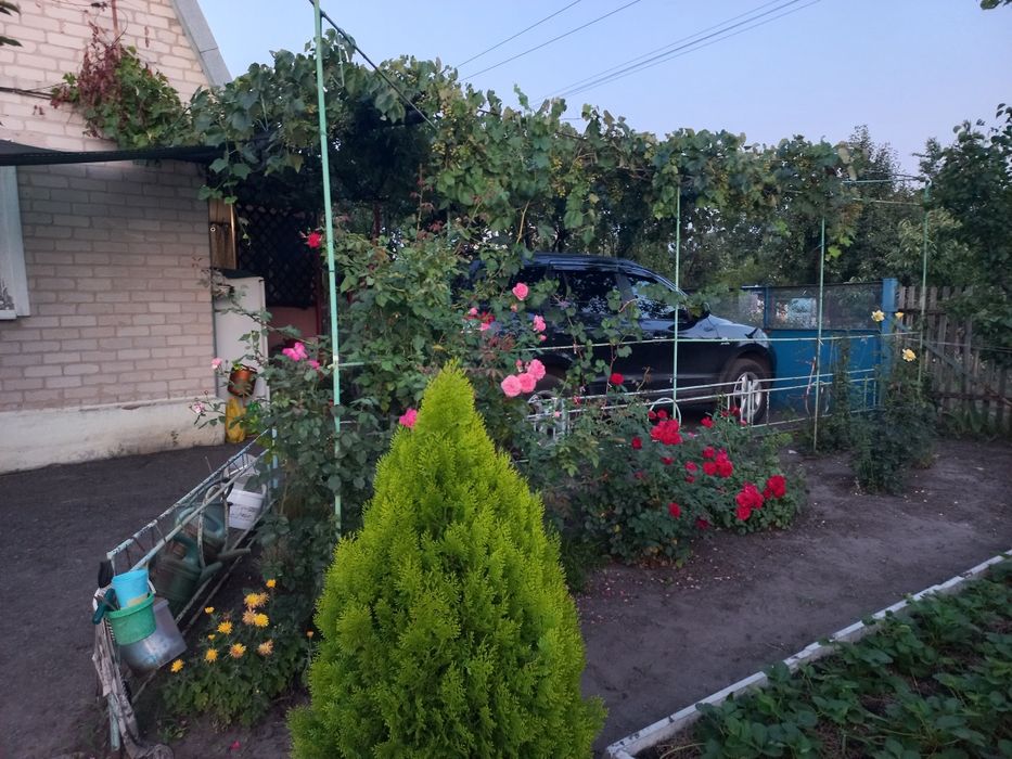 Продам дачу возле села Дмитровка. В доме печь и запас угля.