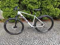 BH Spike 3.0 2024 powystawowy