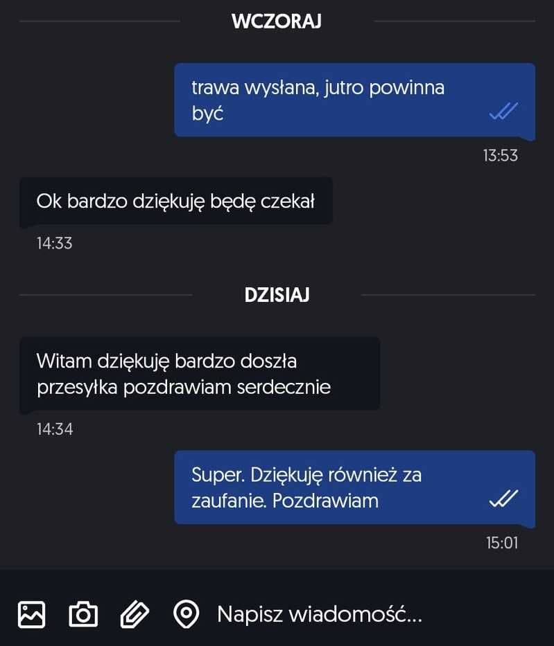 TRAWA z rolki 2X2 M + GRATIS wysyłka do ogrodu balkon boisko 7mm