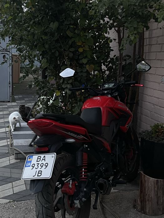 Spark sp200-r29 200cc